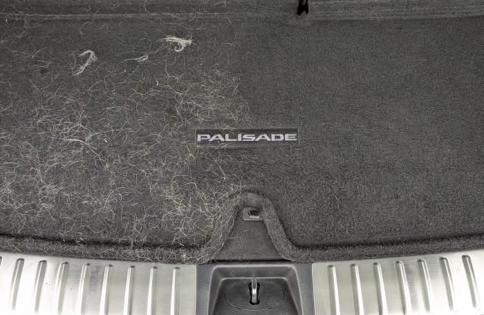 Vehicle cargo mat with pet hair before detailing