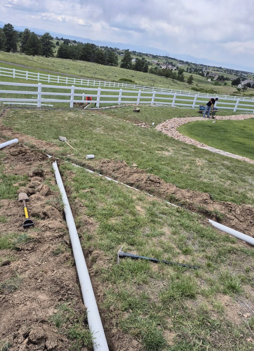 Backyard Landscaping CO fence-line cleanup work