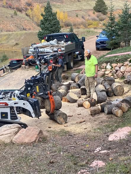 Tree and property work photo