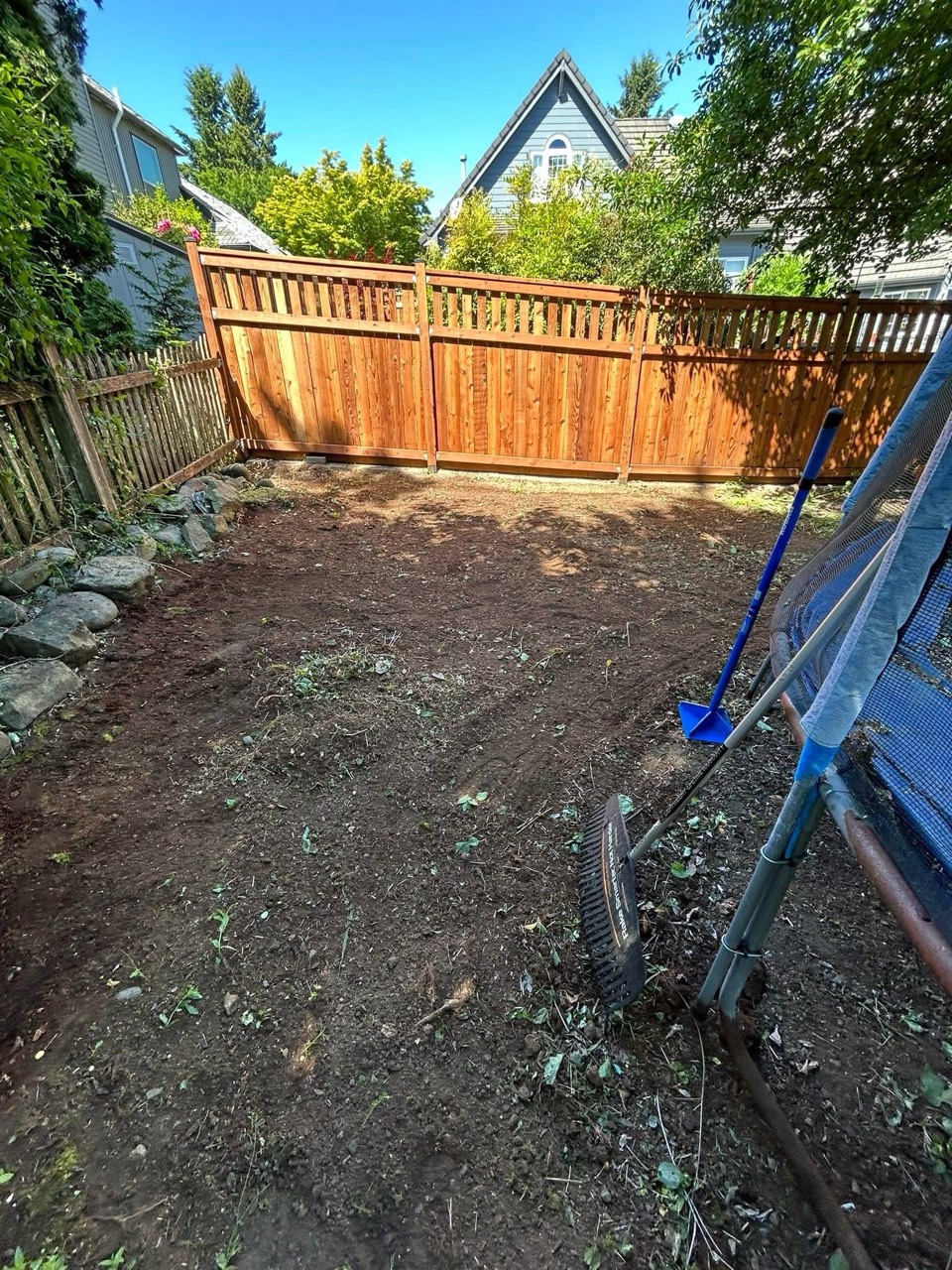 Additional cleared yard view after cleanup