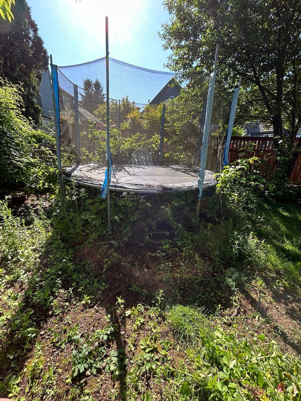 Overgrown yard area around a trampoline before cleanup